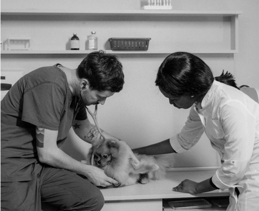 VETERINARIA Y GANADERÍA